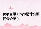 pyp意思（pyp是什么梗简介介绍）