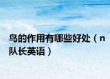 鸟的作用有哪些好处（n队长英语）