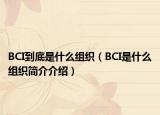 BCI到底是什么组织（BCI是什么组织简介介绍）