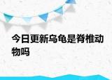 今日更新乌龟是脊椎动物吗