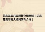 花非花雾非雾剧情介绍百科（花非花雾非雾大结局简介介绍）