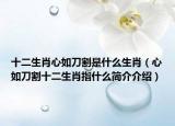 十二生肖心如刀割是什么生肖（心如刀割十二生肖指什么简介介绍）