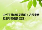 古代王爷能穿龙袍吗（古代皇帝和王爷龙袍的区别）