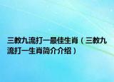 三教九流打一最佳生肖（三教九流打一生肖简介介绍）