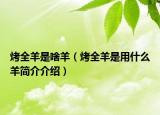 烤全羊是啥羊（烤全羊是用什么羊简介介绍）