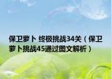 保卫萝卜 终极挑战34关（保卫萝卜挑战45通过图文解析）