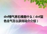 dnf绿气息右槽是什么（dnf蓝色念气怎么获得简介介绍）