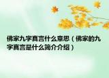 佛家九字真言什么意思（佛家的九字真言是什么简介介绍）