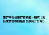 象群中担任象群首领的一般式（担任象群首领的是什么象简介介绍）