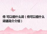 侍 可以组什么词（侍可以组什么词语简介介绍）