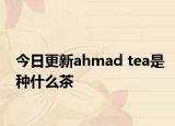 今日更新ahmad tea是种什么茶
