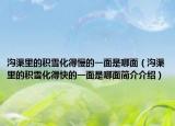 沟渠里的积雪化得慢的一面是哪面（沟渠里的积雪化得快的一面是哪面简介介绍）