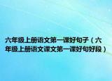 六年级上册语文第一课好句子（六年级上册语文课文第一课好句好段）