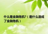 什么是金融危机?（是什么造成了金融危机）