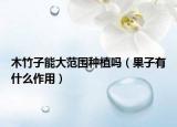 木竹子能大范围种植吗（果子有什么作用）