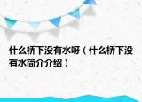 什么桥下没有水呀（什么桥下没有水简介介绍）