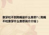 象牙吐不到狗嘴是什么意思?（狗嘴不吐象牙什么意思简介介绍）