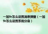 一加9r怎么设置消息弹窗（一加9r怎么设置系统分身）