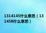 1314145什么意思（131458什么意思）
