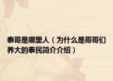 泰哥是哪里人（为什么是哥哥们养大的泰民简介介绍）