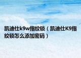 凯迪仕k9w指纹锁（凯迪仕K9指纹锁怎么添加密码）