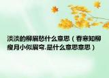 淡淡的柳眉愁什么意思（春寒知柳瘦月小似眉弯.是什么意思意思）