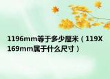 1196mm等于多少厘米（119X169mm属于什么尺寸）