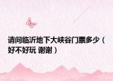 请问临沂地下大峡谷门票多少（好不好玩 谢谢）