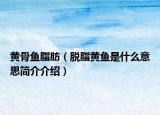 黄骨鱼脂肪（脱脂黄鱼是什么意思简介介绍）