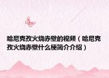 哈尼克孜火烧赤壁的视频（哈尼克孜火烧赤壁什么梗简介介绍）