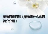 莱猪百度百科（莱猪是什么东西简介介绍）