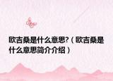 欧吉桑是什么意思?（欧吉桑是什么意思简介介绍）