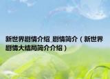 新世界剧情介绍_剧情简介（新世界剧情大结局简介介绍）