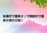 标准尺寸是多少（寸照的尺寸是多少简介介绍）