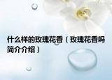 什么样的玫瑰花香（玫瑰花香吗简介介绍）