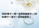 2002年十一月一日农历是多少（2002年十一月十一日对应农历）