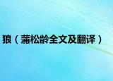 狼（蒲松龄全文及翻译）
