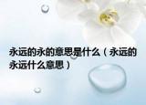 永远的永的意思是什么（永远的永远什么意思）