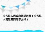 府谷县人民政府网站首页（府谷县人民政府网站怎么样）
