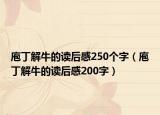 庖丁解牛的读后感250个字（庖丁解牛的读后感200字）