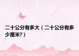 二十公分有多大（二十公分有多少厘米?）