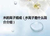水的离子组成（水离子是什么简介介绍）