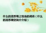 什么的流苏填上恰当的词语（什么的流苏填空简介介绍）