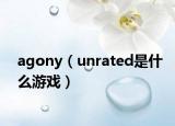 agony（unrated是什么游戏）