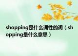 shopping是什么词性的词（shopping是什么意思）