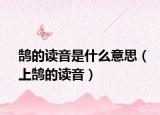 鹄的读音是什么意思（上鹄的读音）