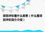 项目评价是什么意思（什么是项目评价简介介绍）