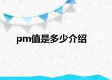 pm值是多少介绍