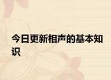 今日更新相声的基本知识