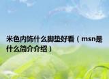 米色内饰什么脚垫好看（msn是什么简介介绍）